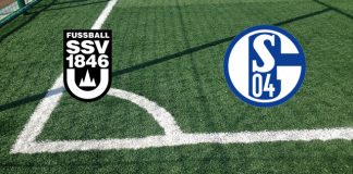 Formazioni SSV Ulm 1846-Schalke 04