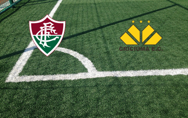 Formazioni Fluminense-Criciuma