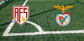 AVS Futebol SAD-Benfica (domenica 15 dicembre 2024 ore 19:00): formazioni ufficiali, quote, pronostici. Arthur Cabral dal primo minuto Formazioni AVS Futebol SAD-Benfica