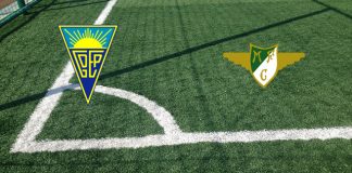 Estoril-Moreirense (sabato 28 dicembre 2024 ore 19:00): formazioni ufficiali, quote, pronostici Formazioni Estoril-Moreirense