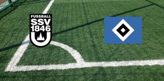 SSV Ulm 1846-Amburgo (sabato 14 dicembre 2024 ore 13:00): formazioni ufficiali, quote, pronostici Formazioni SSV Ulm 1846-Amburgo