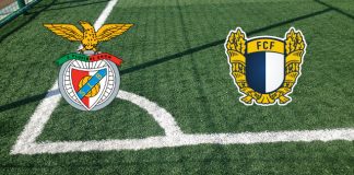 Benfica-Famalicão (venerdì 17 gennaio 2025 ore 21:15): formazioni ufficiali, quote, pronostici. Ritorno alla vittoria in campionato per le Aquile? Pronostici Benfica-Famalicão