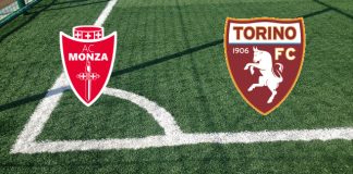 Pronostici Monza-Torino