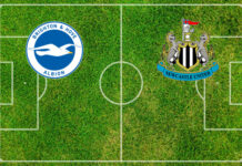 Pronostici Brighton-Newcastle