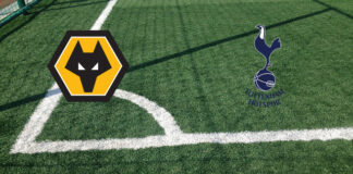 Wolverhampton-Tottenham (domenica 13 aprile 2025 ore 15:00): formazioni ufficiali, quote, pronostici. Fiducia nei Wolves Pronostici Wolverhampton-Tottenham
