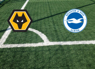 Pronostici Wolverhampton-Brighton