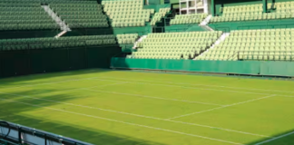 Pronostico e quote Flavio Cobolli - Alexander Zverev, Halle 20-06-2025