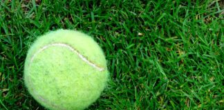 Pronostico e quote Amanda Anisimova – Tatjana Maria, finale WTA Londra Queen’s Club 15-06-2025 ore 14:30 Pronostico e quote Amanda Anisimova - Tatjana Maria, WTA Londra Queen's Club 15-06-2025