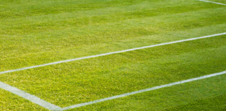Pronostico e quote Jacob Fearnley – Flavio Cobolli, Eastbourne 24-06-2025 Pronostico e quote Jacob Fearnley - Flavio Cobolli, Eastbourne 24-06-2025