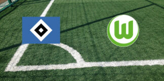 Amburgo-Wolfsburg (sabato 25 ottobre 2025 ore 15:30): formazioni ufficiali, quote, pronostici Pronostici Amburgo-Wolfsburg
