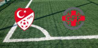 Turchia-Georgia (Qualificazioni Mondiali Europa, 14-10-2025 ore 20:45): formazioni ufficiali, quote, pronostici Pronostici Turchia-Georgia