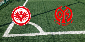 Eintracht Francoforte-Mainz 05 (domenica 09 novembre 2025 ore 19:30): formazioni ufficiali, quote, pronostici Pronostici Eintracht Francoforte-Mainz 05