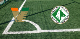 Pronostici Venezia-Avellino