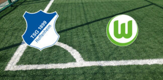 Hoffenheim-Wolfsburg (sabato 14 marzo 2026 ore 15:30): formazioni ufficiali, quote, pronostici. I woelfe si affidano a Hecking per il miracolo salvezza Pronostici Hoffenheim-Wolfsburg