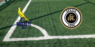 Modena-Spezia (venerdì 13 marzo 2026 ore 20:30): formazioni ufficiali, quote, pronostici, convocati. Partita bloccata al Braglia Pronostici Modena-Spezia