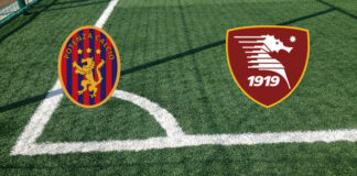 Potenza-Salernitana (sabato 28 marzo 2026 ore 14:30): formazioni ufficiali, quote, pronostici, convocati. Sei assenti per Cosmi Pronostici Potenza-Salernitana