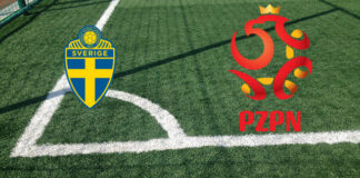 Pronostici Svezia-Polonia
