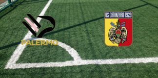 Palermo-Catanzaro (venerdì 01 maggio 2026 ore 15:00): formazioni ufficiali, quote, pronostici, convocati. Antipasto playoff al Barbera con gol in arrivo Pronostici Palermo-Catanzaro