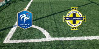 Francia-Irlanda del Nord (Amichevole di preparazione, 08-06-2026 ore 21:10): formazioni ufficiali, quote, pronostici. I Bleus cercano riscatto contro i Norn Iron Pronostici Francia-Irlanda del Nord