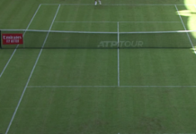 Pronostico e quote Taylor Harry Fritz - Francis Tiafoe, finale Halle 21-06-2026