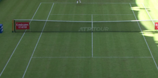 Pronostico e quote Taylor Harry Fritz - Francis Tiafoe, finale Halle 21-06-2026