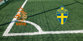 Pronostici Olanda-Svezia