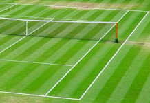Pronostico e quote Serena Williams - Maya Joint, WTA Wimbledon 30-06-2026