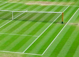 Pronostico e quote Serena Williams - Maya Joint, WTA Wimbledon 30-06-2026