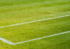 Pronostico e quote Ben Shelton – Taylor Harry Fritz, Halle 19-06-2026 Pronostico e quote Ben Shelton - Taylor Harry Fritz, Halle 19-06-2026