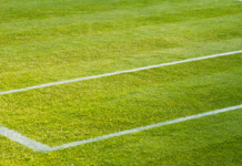 Pronostico e quote Ben Shelton – Taylor Harry Fritz, Halle 19-06-2026 Pronostico e quote Ben Shelton - Taylor Harry Fritz, Halle 19-06-2026