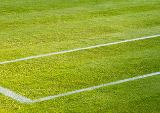 Pronostico e quote Ben Shelton - Taylor Harry Fritz, Halle 19-06-2026