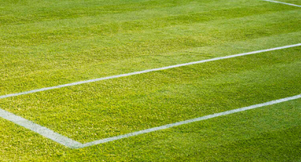 pronostico e quote ben shelton 8211 taylor harry fritz halle 19 06 2026 da Infobetting.com pronostico e quote ben shelton 8211 taylor harry fritz halle 19 06 2026