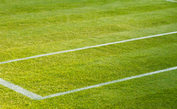 Pronostico e quote Flavio Cobolli – Arthur Fery, Wimbledon 08-07-2026 Pronostico e quote Flavio Cobolli - Arthur Fery, Wimbledon 08-07-2026