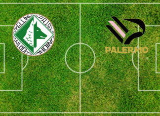 Avellino-Palermo (domenica 13 settembre 2026 ore 17:15): formazioni, quote, pronostici. Inzaghi perde Hernani e Strefezza Pronostici Avellino-Palermo