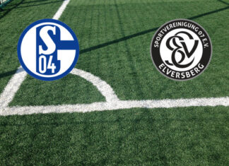 Schalke 04-Elvesberg (domenica 20 settembre 2026 ore 17:30): formazioni ufficiali, quote, pronostici Pronostici Schalke 04-Elvesberg