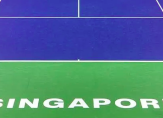 Pronostico e quote Leylah Fernandez – Talia Gibson, finale WTA Singapore 27-09-2026 Pronostico e quote Leylah Fernandez - Talia Gibson, Finale WTA Singapore 27-09-2026
