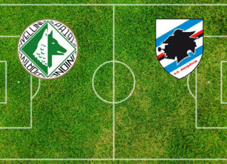 Avellino-Sampdoria (venerdì 09 ottobre 2026 ore 20:30): formazioni, quote, pronostici Pronostici Avellino-Sampdoria