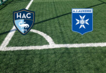 Le Havre-Auxerre (domenica 18 ottobre 2026 ore 17:15): formazioni, quote, pronostici Pronostici Le Havre-Auxerre