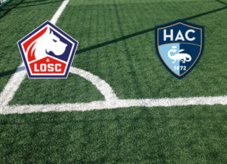 Lille-Le Havre (sabato 10 ottobre 2026 ore 17:15): formazioni, quote, pronostici Pronostici Lille-Le Havre