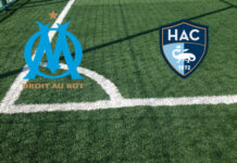 Marsiglia-Le Havre (domenica 25 ottobre 2026 ore 17:15): formazioni, quote, pronostici Pronostici Marsiglia-Le Havre
