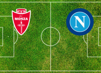 Monza-Napoli (mercoledì 28 ottobre 2026 ore 20:45): formazioni, quote, pronostici. Fiducia al segno 2 Pronostici Monza-Napoli