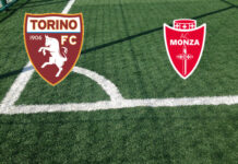 Pronostici Torino-Monza