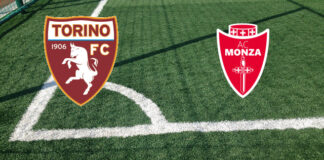 Pronostici Torino-Monza