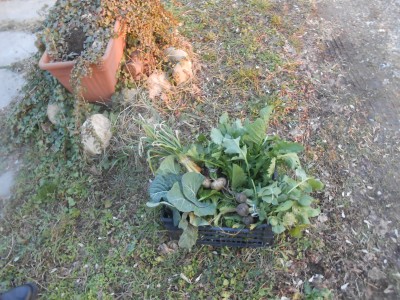 DSCN1435.JPG