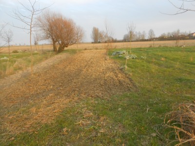 DSCN1465.JPG