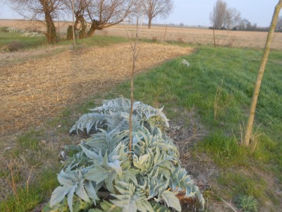 DSCN1467.JPG
