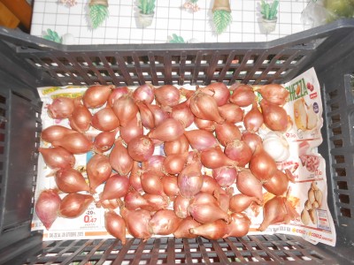 DSCN1472.JPG