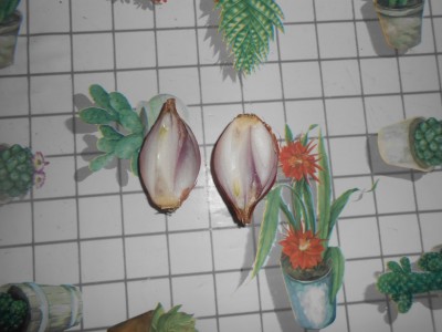 DSCN1479.JPG