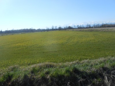 DSCN1488.JPG