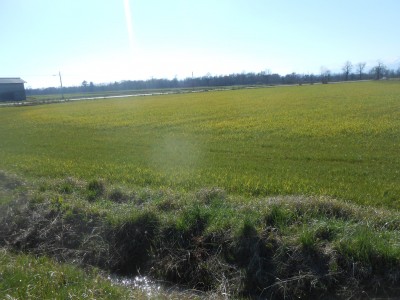 DSCN1489.JPG